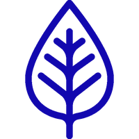 Знакомство с природоведческим материалом 