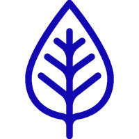 Знакомство с природоведческим материалом 